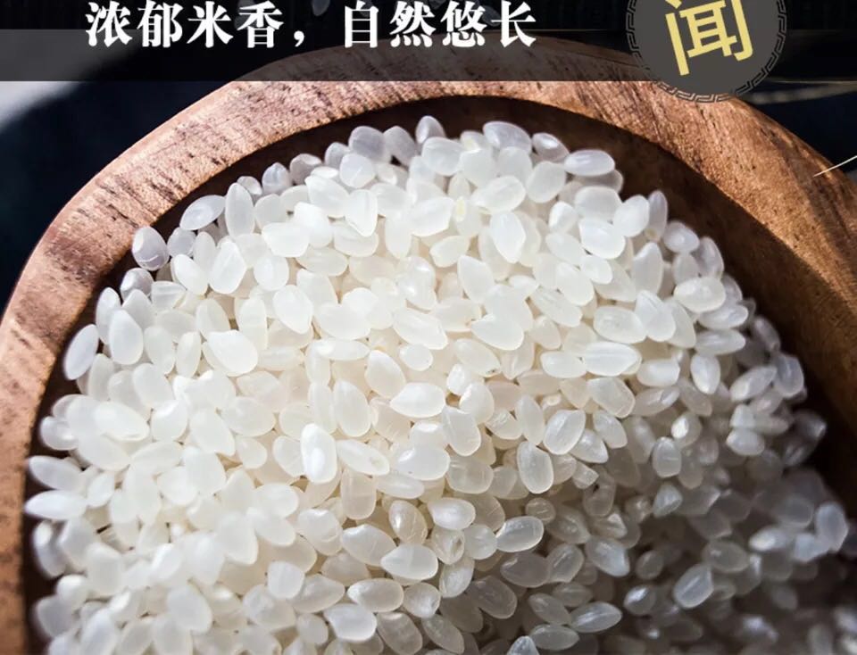 dnf剑圣哪个好